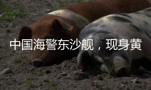 中国海警东沙舰，现身黄岩岛-PC28预测