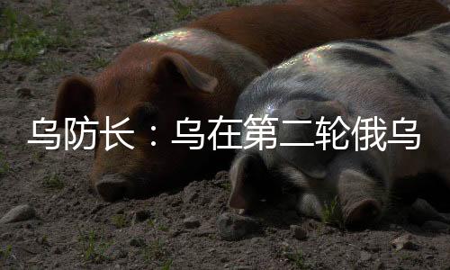 乌防长：乌在第二轮俄乌商洽中再提停火30天-PC28预测