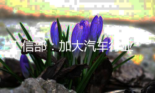 工信部：加大汽车行业“内卷式”竞赛整治力度-加拿大28