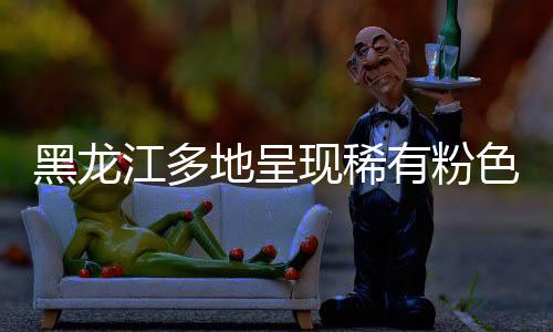 黑龙江多地呈现稀有粉色极光-加拿大28